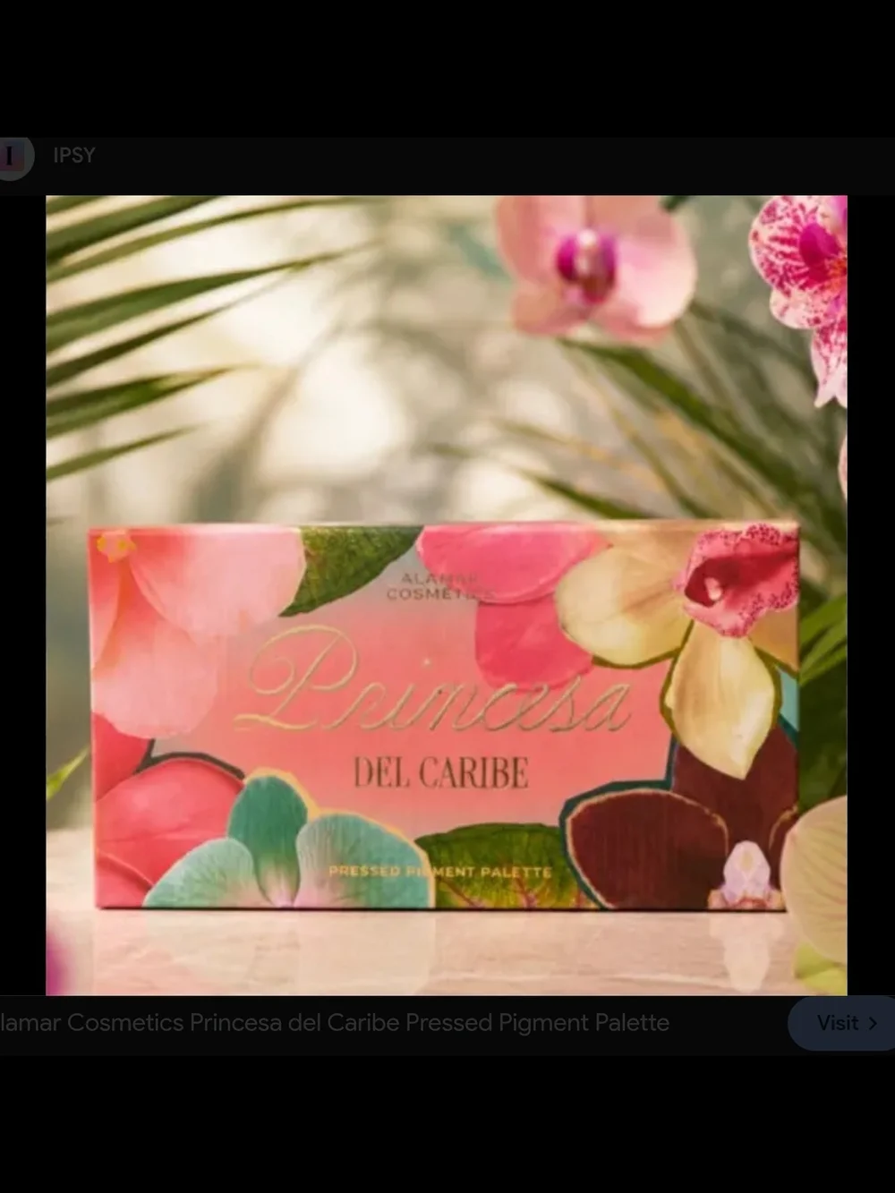 Princesa Del Caribe Pressed Pigment Palette - New In Box